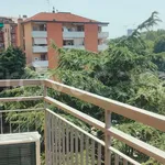 Rent 1 bedroom apartment of 30 m² in Milano