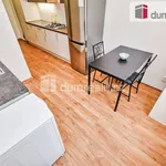 Rent 1 bedroom apartment in Prague