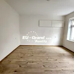 Rent 4 bedroom apartment in Děčín