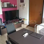 Rent 1 bedroom apartment of 50 m² in Gallarate