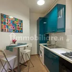 Rent 1 bedroom apartment of 40 m² in Florence