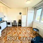 Rent 1 bedroom apartment of 35 m² in Brno