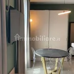 Rent 1 bedroom apartment of 46 m² in Turin