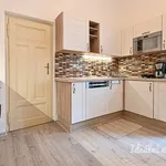 Rent 4 bedroom apartment of 135 m² in Brno