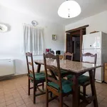 Rent 5 bedroom house of 250 m² in Marsciano