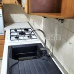 Affitto 3 camera appartamento di 67 m² in Cinisello Balsamo