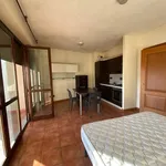 Rent 1 bedroom apartment of 40 m² in Mondovì