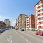 Rent 3 bedroom apartment of 70 m² in Torino