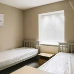 Rent a room in dublin