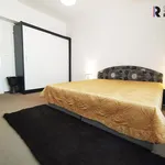 Rent 2 bedroom apartment of 47 m² in Prague