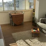 Rent 1 bedroom apartment in lisbon