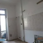 Rent 4 bedroom apartment of 85 m² in Genoa