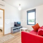 Rent 1 bedroom apartment of 43 m² in Zagreb