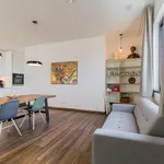 Rent 2 bedroom apartment of 100 m² in Berlin