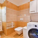 Rent 3 bedroom apartment of 77 m² in Brno