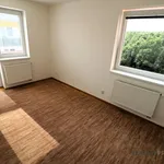 Rent 2 bedroom apartment in Brno