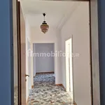 Rent 4 bedroom apartment of 100 m² in Trento