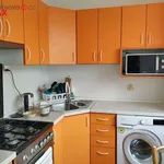 Rent 3 bedroom apartment of 59 m² in Brno