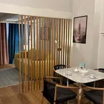 Rent 1 bedroom apartment in milan