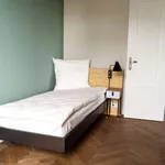 Rent 1 bedroom apartment of 64 m² in berlin