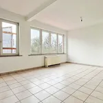 Flat to rent : Basiliekstraat 137 11, 1500 Halle on Realo