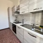 Rent 4 bedroom apartment of 100 m² in Campobasso