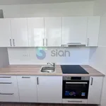 Rent 2 bedroom apartment of 55 m² in Ostrava