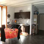 Rent 2 bedroom apartment of 55 m² in Piacenza