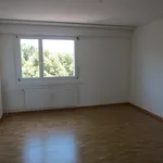 4 Zimmer-Wohnung in Volketswil mieten