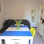 Rent 2 bedroom apartment of 40 m² in Milano