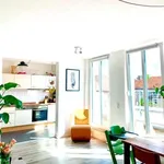 Rent 1 bedroom apartment in berlin