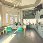 Rent 1 bedroom apartment in Antwerp