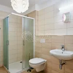 Rent 1 bedroom apartment of 36 m² in Trhový Štěpánov