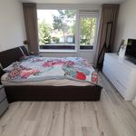 Rent 6 bedroom house of 180 m² in Prinsenbeek