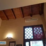 Rent 1 bedroom apartment of 50 m² in Catania