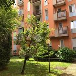 Affitto 1 camera appartamento di 50 m² in Monza