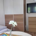 Rent 4 bedroom apartment of 98 m² in Leipzig