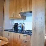 Rent 2 bedroom apartment of 30 m² in Ovindoli