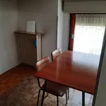 Rent 1 bedroom apartment of 20 m² in Padova