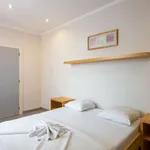 Rent 1 bedroom apartment in brussels