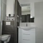 Rent 3 bedroom apartment of 63 m² in Trhový Štěpánov