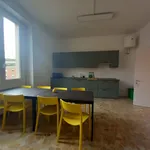 Affitto 1 camera appartamento di 20 m² in bologna