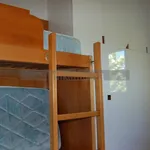 Rent 3 bedroom apartment of 65 m² in Perugia