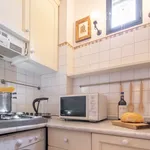 Rent 2 bedroom apartment of 45 m² in Florence