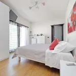 Rent 1 bedroom apartment in rome