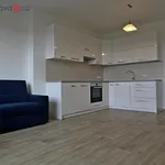 Pronajměte si 3 ložnic/e byt o rozloze 69 m² v Brno