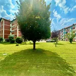 Rent 2 bedroom apartment of 55 m² in turin