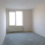 Rent 2 bedroom apartment of 90 m² in Leeuwarden