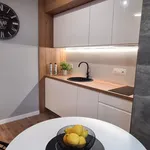 Rent 1 bedroom apartment of 26 m² in Poznan