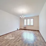 Rent 2 bedroom apartment of 62 m² in Plzeň